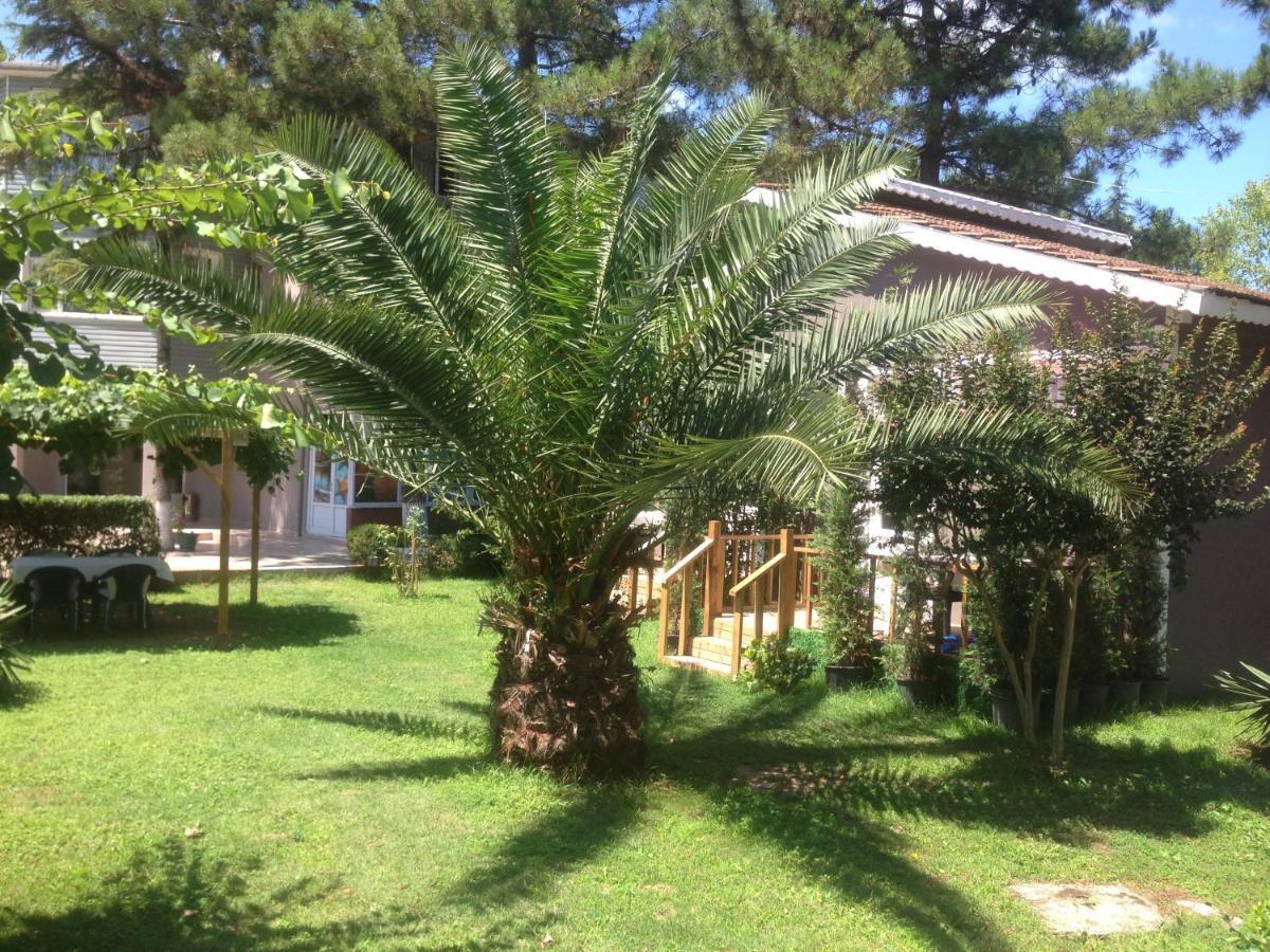 Shila Doert Mevsim Tatil Koyu Hotel Ağva Kültér fotó